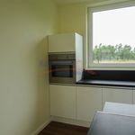 Rent 5 bedroom house of 170 m² in Żnin