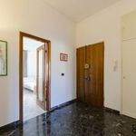 Affitto 1 camera appartamento in Genoa