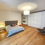 Rent 5 bedroom apartment of 221 m² in Torino