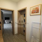 Rent 1 bedroom house of 570 m² in Číhošť