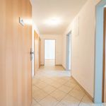 Miete 3 Schlafzimmer wohnung von 70 m² in Neustadtl an der Donau