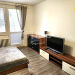 Rent 2 bedroom apartment of 42 m² in Přerov