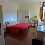 Rent a room of 24 m² in Perugia