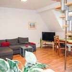 Rent 1 bedroom apartment of 36 m² in cologne
