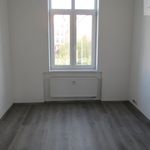 Rent 1 bedroom apartment of 47 m² in Teplice