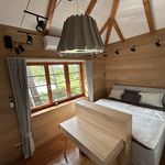 Rent 1 bedroom house of 55 m² in Praha