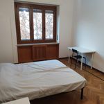 Rent 2 bedroom apartment in Torino