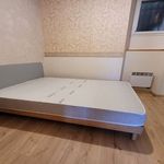 Rent 1 bedroom apartment in Saint-Girons