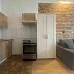 Rent 1 bedroom apartment of 22 m² in Poznań