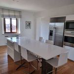 Rent 5 bedroom apartment of 220 m² in Firenze