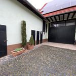 Rent 2 bedroom apartment of 60 m² in Worms