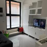 Rent 1 bedroom apartment of 25 m² in Rome