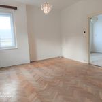 Rent 3 bedroom apartment of 82 m² in Prague