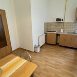 Rent 1 bedroom apartment of 53 m² in Číhošť