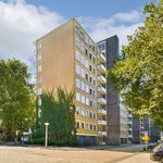 Rent 2 bedroom apartment of 87 m² in Amsterdam