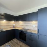 Rent 1 bedroom apartment of 48 m² in Brest