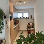 Rent 1 bedroom apartment of 75 m² in Holsbeek