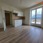 Rent 1 bedroom apartment of 40 m² in Havířov
