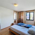 Huur 5 slaapkamer appartement in Willebroek