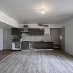 Rent 1 bedroom apartment in Firminy