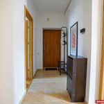 Rent 1 bedroom apartment of 49 m² in Bydgoszcz