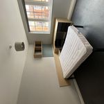 Rent 8 bedroom apartment in Worcester