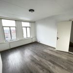 Rent 4 bedroom apartment of 135 m² in Haarlem
