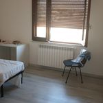 Affitto 1 camera appartamento di 140 m² in Catanzaro