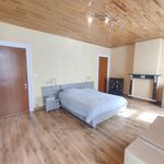 Rent 3 bedroom house of 222 m² in Wetteren