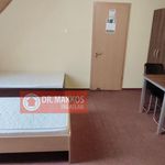 Rent 1 bedroom house of 20 m² in Pécs