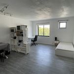 Rent 1 bedroom apartment of 22 m² in La Roche-sur-Yon