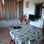 Rent 1 bedroom house of 55 m² in Pontedera