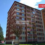 Rent 1 bedroom apartment of 53 m² in Vsetín
