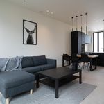 Rent 3 bedroom apartment of 131 m² in Rupelmonde