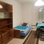 Rent 6 bedroom apartment of 200 m² in Strzelce Opolskie