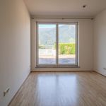 Rent 4 bedroom house of 116 m² in Zell am See