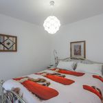 Rent 4 bedroom apartment of 60 m² in Bologna