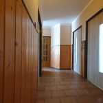 Rent 3 bedroom apartment in Litoměřice