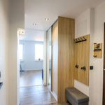 Rent 4 bedroom apartment of 70 m² in Chorzów