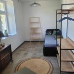 Rent 1 bedroom apartment in Mířkov