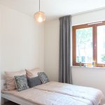 Rent 4 bedroom apartment of 90 m² in Dresden