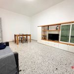 Rent 4 bedroom apartment of 80 m² in La Spezia