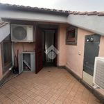 Rent 2 bedroom apartment of 70 m² in Trevignano Romano