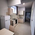 Affitto 1 camera appartamento di 40 m² in Caserta