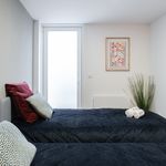 Rent 1 bedroom house of 169 m² in Vila Nova de Gaia