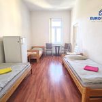 Rent 2 bedroom house in Plzeň
