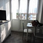 Rent 1 bedroom apartment of 30 m² in Saint-Dié-des-Vosges