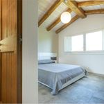 Affitto 3 camera casa di 650 m² in Quartu Sant'Elena