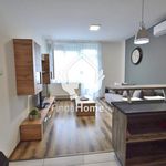 Rent 2 bedroom apartment of 45 m² in Debrecen