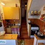 Rent 2 bedroom apartment of 40 m² in Frabosa Sottana